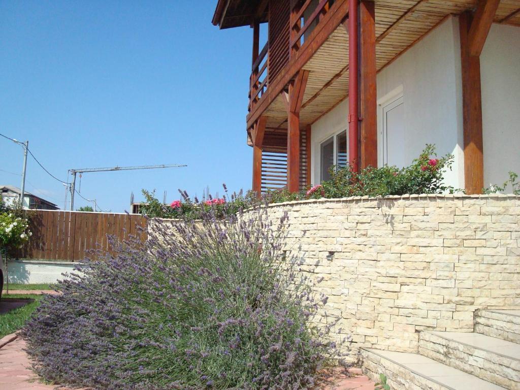 Pension Oasis Costinesti Buitenkant foto